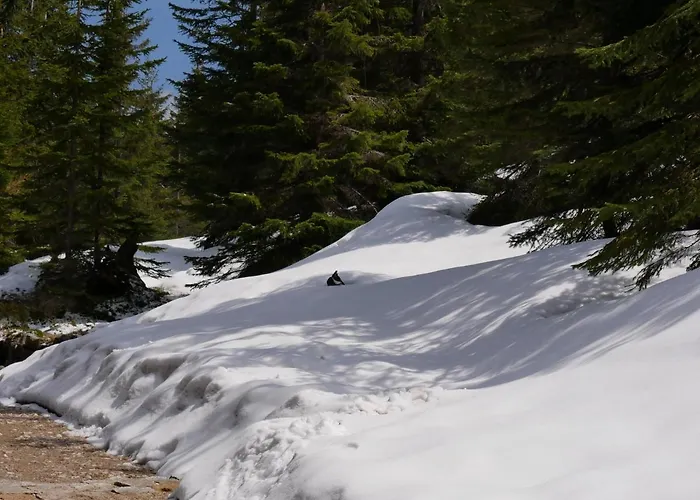 Mondi Kai I - Idealny Na W Gorach Schreiberhau