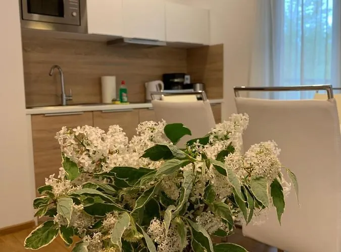 Mondi Kai I - Idealny Na W Gorach * Schreiberhau